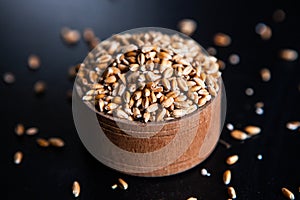 Whole grain wheat flour isolated.