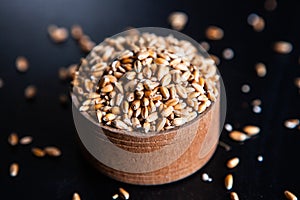 Whole grain wheat flour isolated.