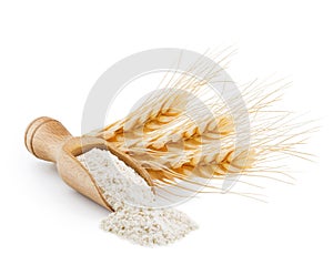Whole grain wheat flour isolated on white