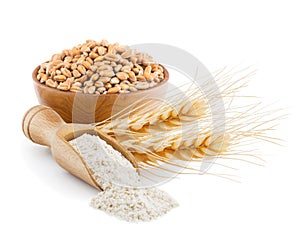 Whole grain wheat flour isolated on white