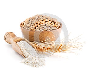 Whole grain wheat flour isolated on white