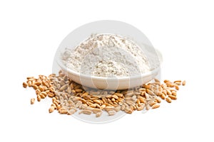 Whole grain wheat flour and wheat grains