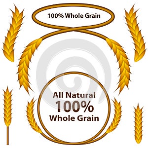 Whole Grain Wheat Set