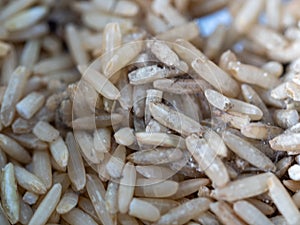 Whole grains of uncooked Thai Jasmine Rice  with black and white molds growing on the surface causing food spoilage and fungal