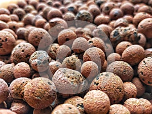 Whole Grains & x28;Biji Bijian& x29;