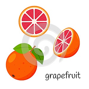 Whole grapefruit with leaves, half and slice. Citrus fruit icon. Flat design. Color vector illustration isolated on a