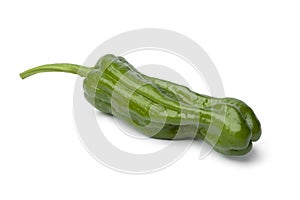Whole green shisito pepper