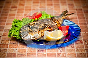 Whole griled dorada fish