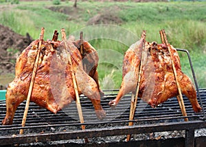 Whole grilled chickens