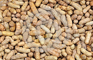 Whole groundnuts