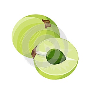 Whole and half amla. Vector flat color illustration