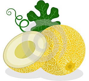 Whole and half of cantaloupe melon