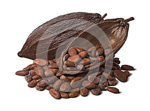 Whole and half cocoa pod with raw beans isolated on white background