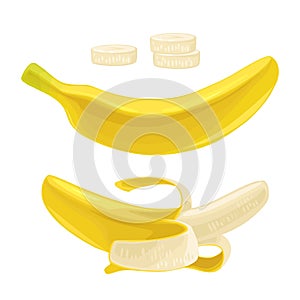 Whole, half peeled and slice banana. Vector color flat