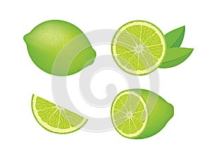 Fresh juicy lime citrus fruit icon set vector isolated on a white background