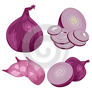 Whole, half and sliced red onions Vector cartoon