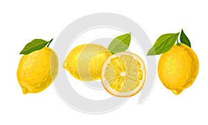 Whole and Halved Lemon Citrus Fruit with Green Leaf Vector Set