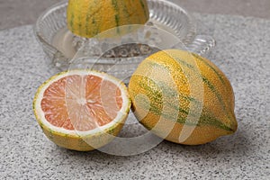 Whole and halved tiger lemon and glass juicer