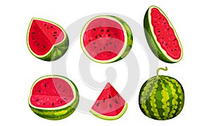 Whole and Halved Watermelon Fruit with Juicy Red Flesh and Black Seeds Inside Vector Set