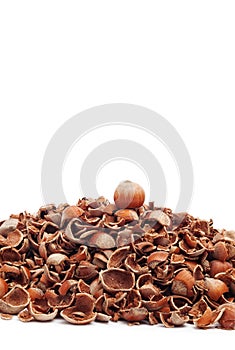 Whole hazelnut on top of cracked