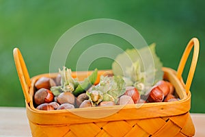 Whole hazelnut in yellow basket on blurred green garden background.Nut abundance.Fresh harvest of hazelnuts. Farmed