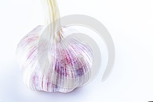Whole head garlic fresh and fragrant vegetable stands on a white background