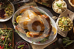 Whole Homemade Thanksgiving Turkey