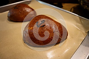 Whole japanese pastries in bakery