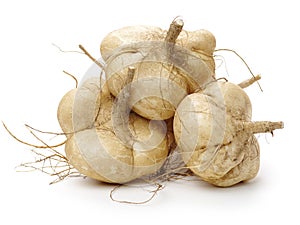 Whole Jicama