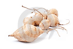 Whole Jicama isolated