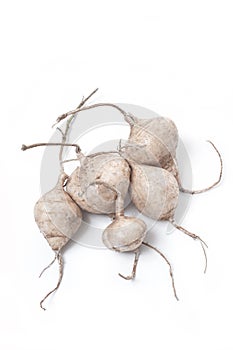 Whole Jicama isolated