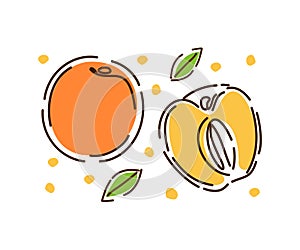 A whole juicy peach and half, a set of fruits and leaves. Fresh peaches are isolated on a white background. Decoration