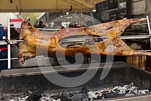 Whole lamb or pig roasting on a spit