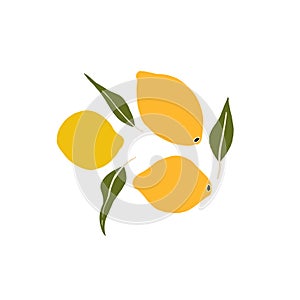 Whole lemon fruits and leaves. Citrus sweet juicy fruit. Food and drink. Set of Abstract vector illustrations. Summer