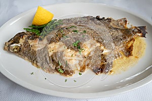 whole lemon sole fish cooked in butter on a white plate with a slice of lemon