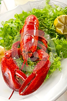 Whole lobster with salad