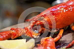 The whole lobster steamed, served with lemon on wooden plate. Close up