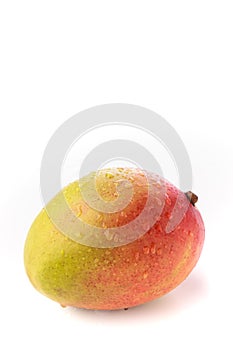 A whole mango against a white background