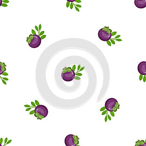 Whole mangosteen pattern seamless vector