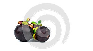 Whole mangosteen showing purple skin isolated on white background with space. Tropical fruit from Thailand. The queen of fruits.