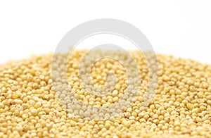 Whole Millet Pearl Grains on a White Background