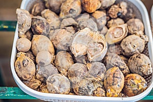 Whole nutmeg spice in dish and one open nut