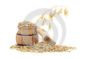 Whole oats grains with husk in wooden barrel over white