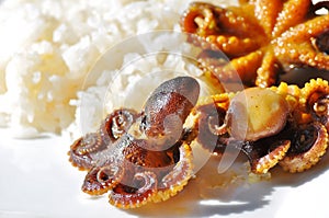 Whole octopi and rice.