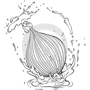 Whole onion with splash line art