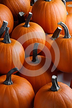 Whole orange pumpkins