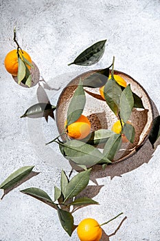 Whole oranges witl orange tree leaves in gray plate. on white background top view, flat lay, summer and healthy concept.