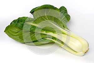 Whole pak choi (Brassica rapa)