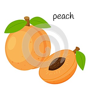 Whole peach and cut half with a seed. Fruit icon. Flat design. Color vector illustration isolated on a white background.