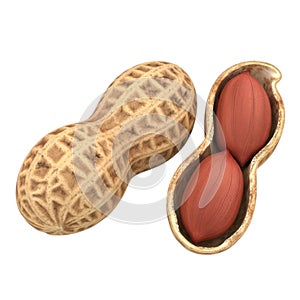 Whole peanut and open peanut shell with two kernels